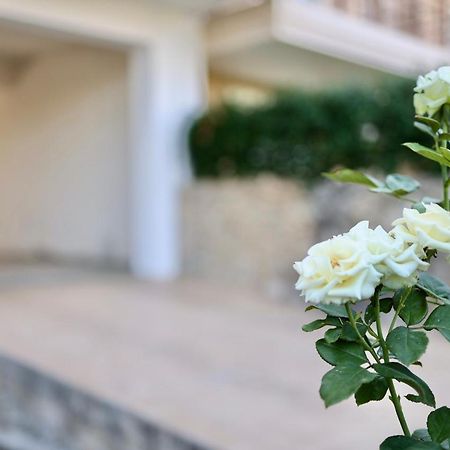 Μικρό Διαμέρισμα Της Αγγελικής Με Αυλή Και Parking Kalamata Dış mekan fotoğraf