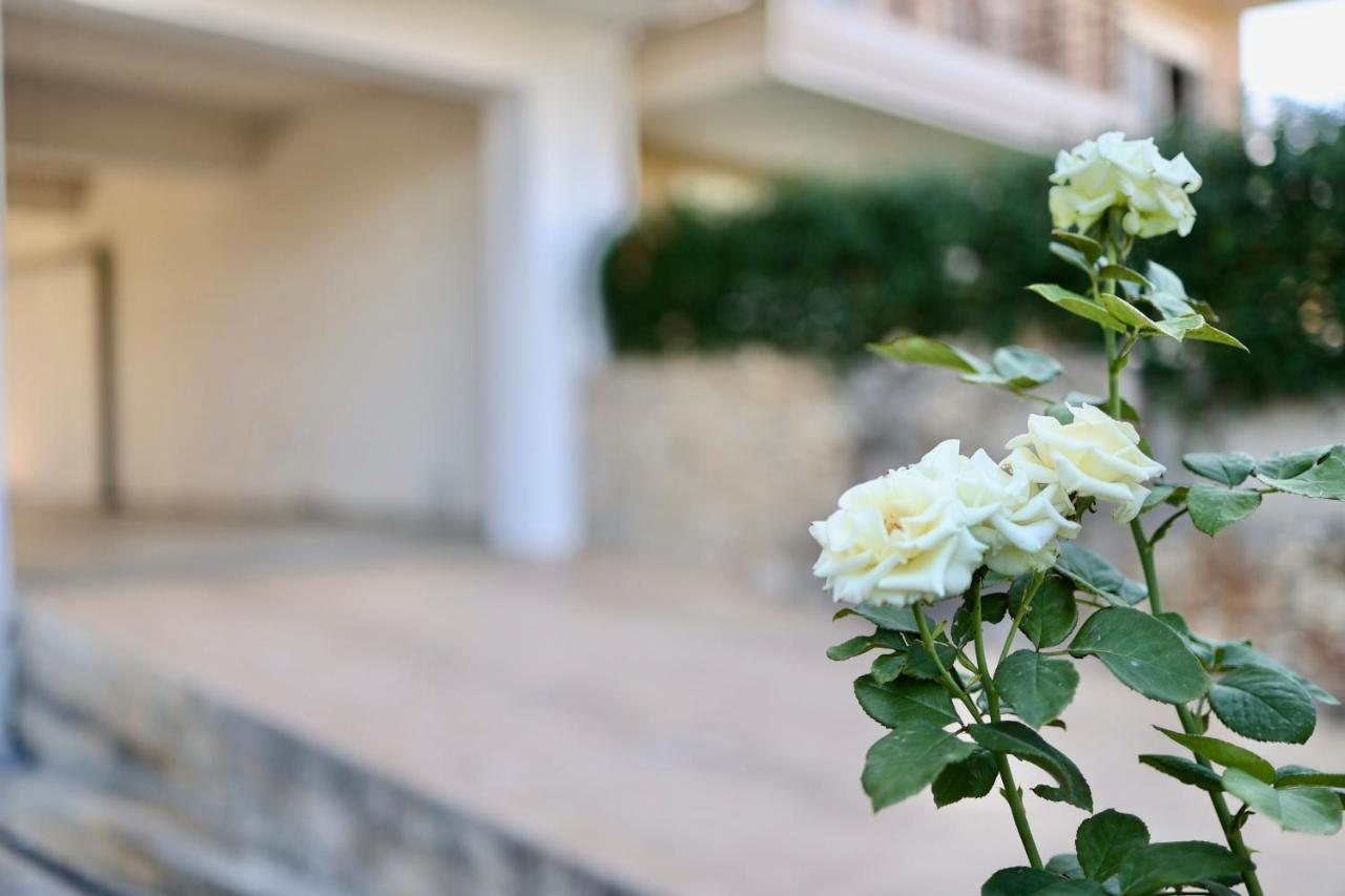 Μικρό Διαμέρισμα Της Αγγελικής Με Αυλή Και Parking Kalamata Dış mekan fotoğraf